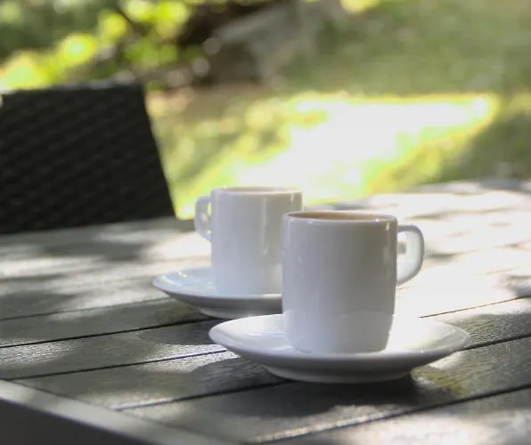 Caya Bijou Im Herzen Von Apartment Zermatt